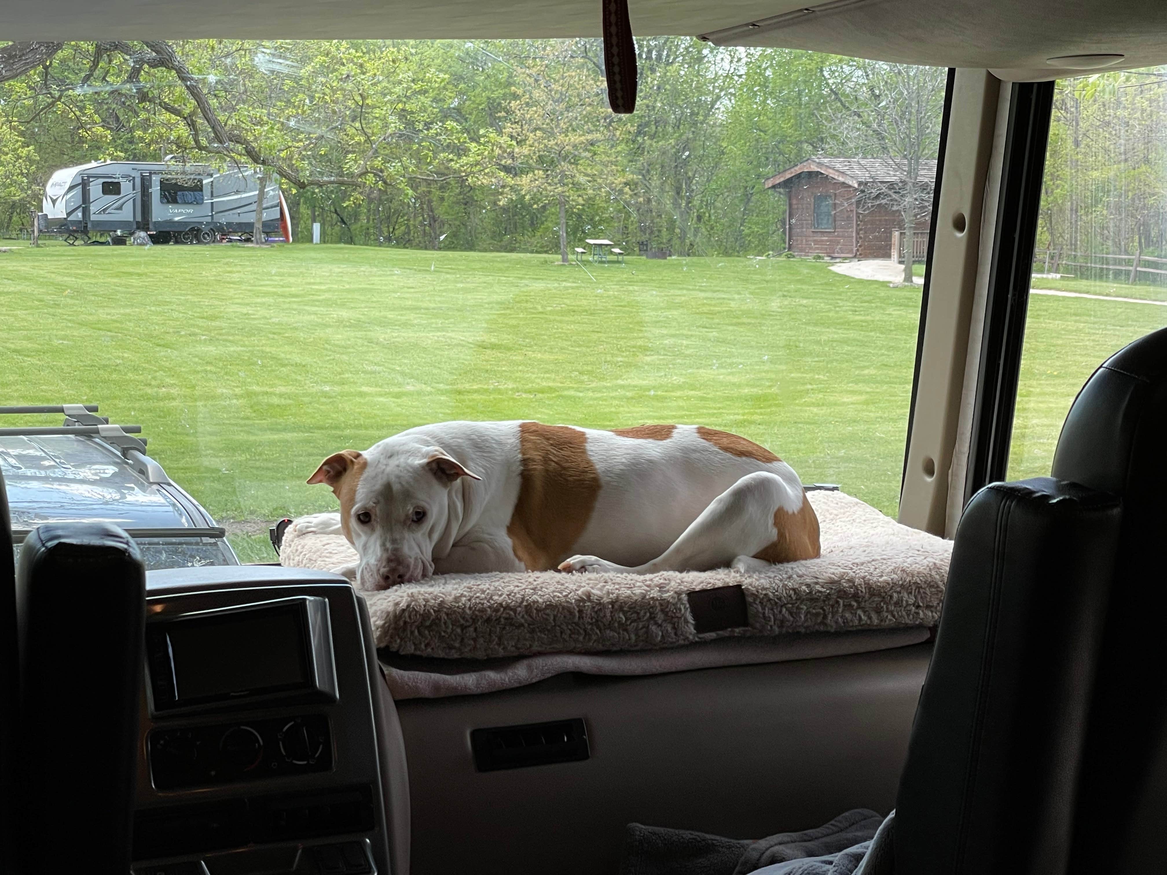 Camper-submitted photo at Briggs Woods Park near Fort Dodge, IA