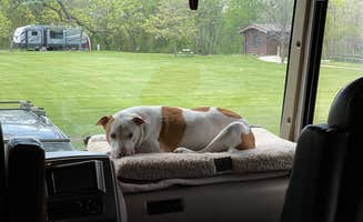 Cari W.'s photo of camping with pets at Briggs Woods Park near Britt, IA