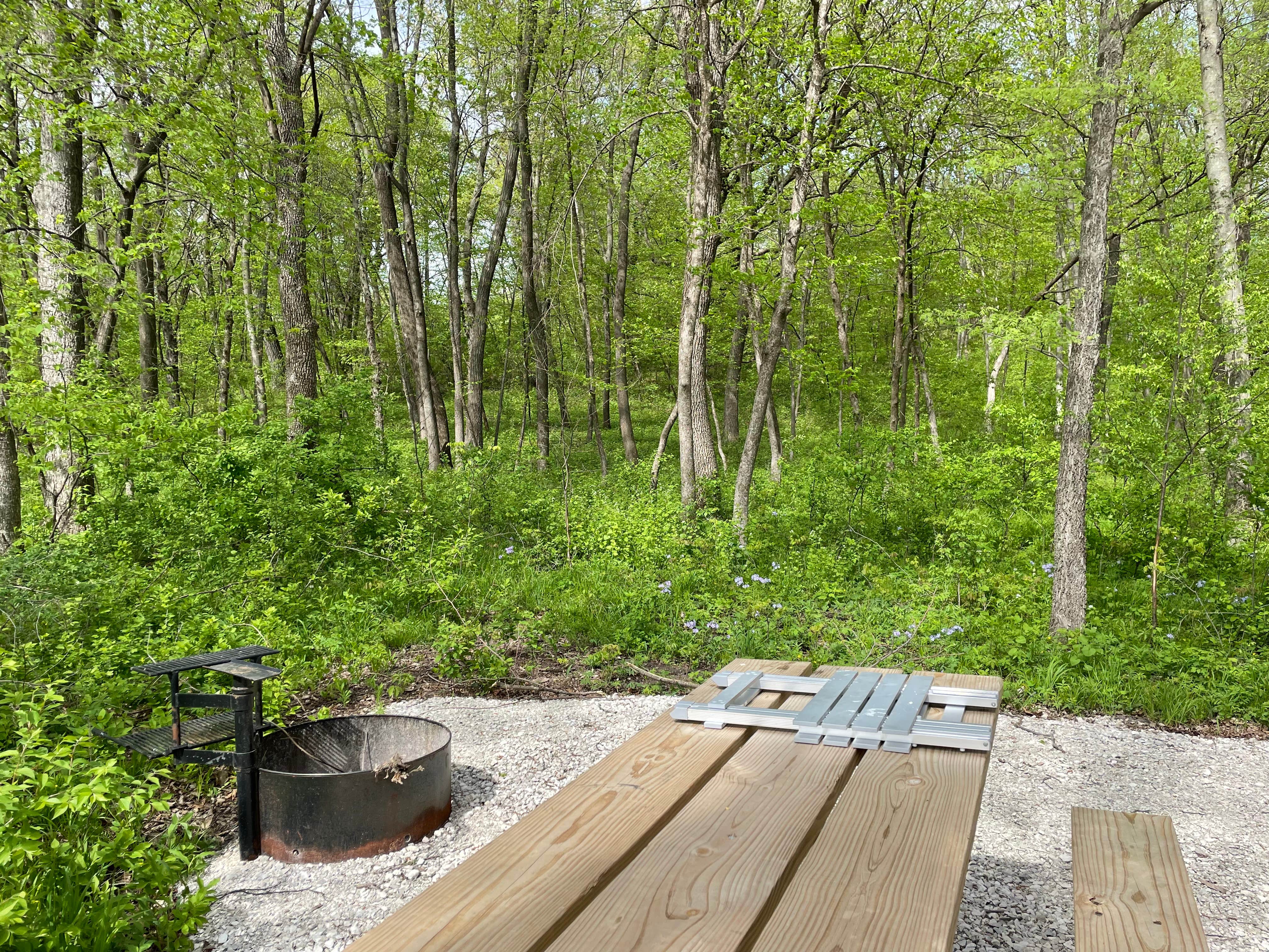 Camper-submitted photo at Briggs Woods Park near Fort Dodge, IA