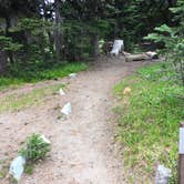 Review photo of Sunrise Camp Primitive — Mount Rainier National Park by Celina M., July 13, 2018