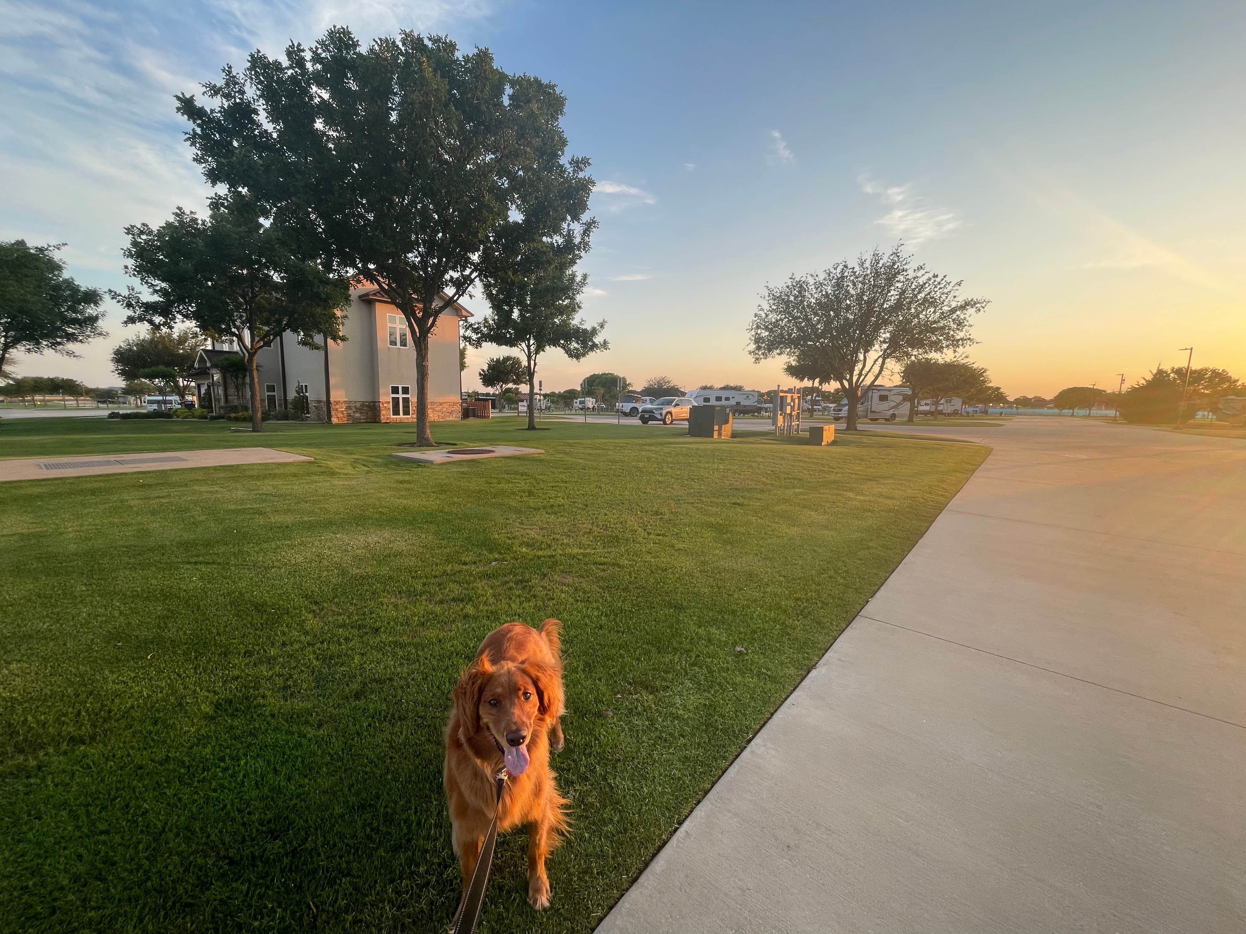 Mark B.'s photo of camping with pets at Winstar RV Park near Lake Texoma