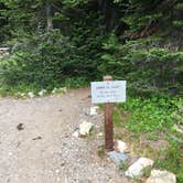 Review photo of Sunrise Camp Primitive — Mount Rainier National Park by Celina M., July 13, 2018