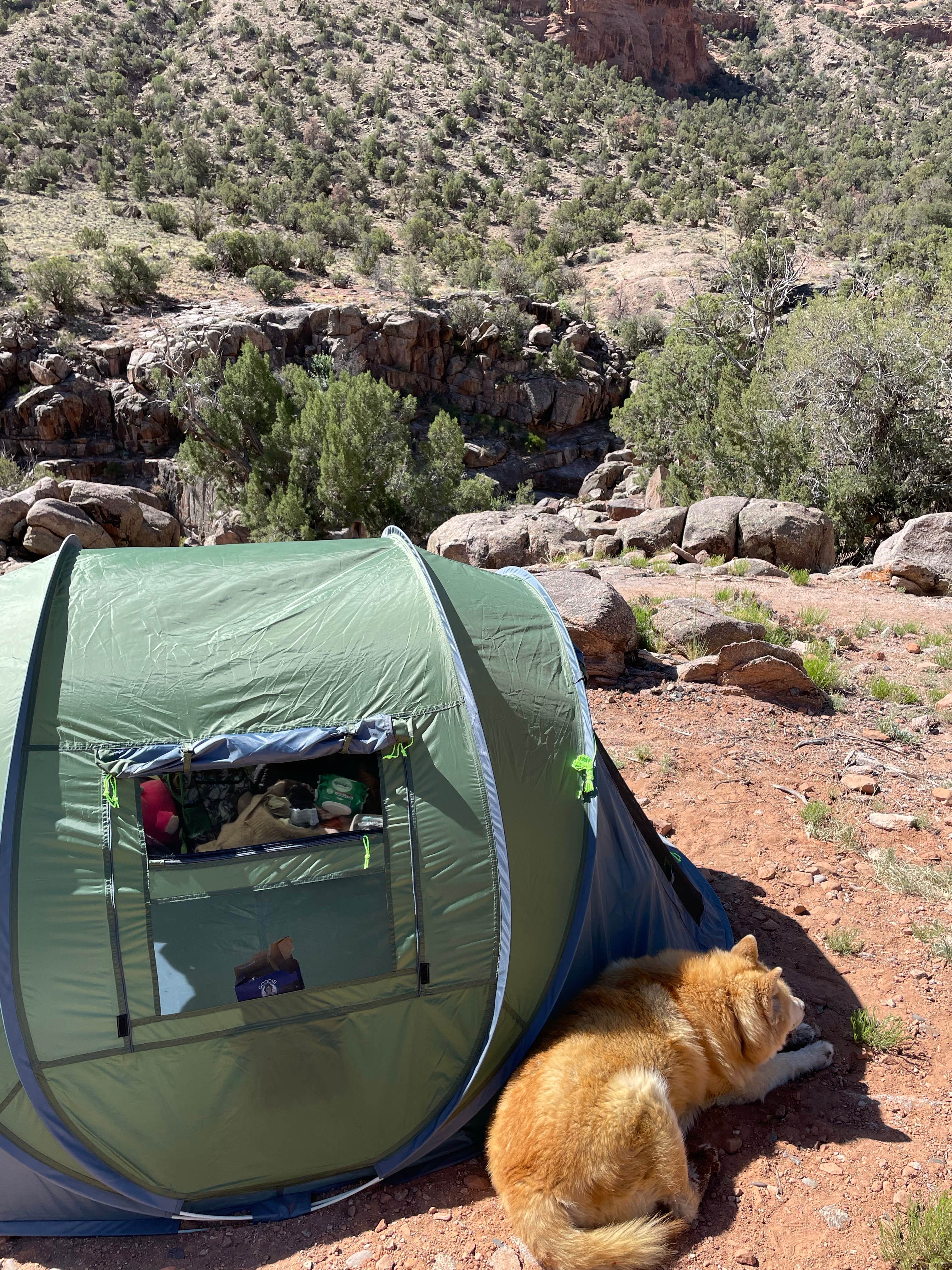 Nina M.'s photo at The Potholes Recreation Site near Nucla, CO