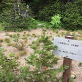 Review photo of Sunrise Camp Primitive — Mount Rainier National Park by Celina M., July 13, 2018