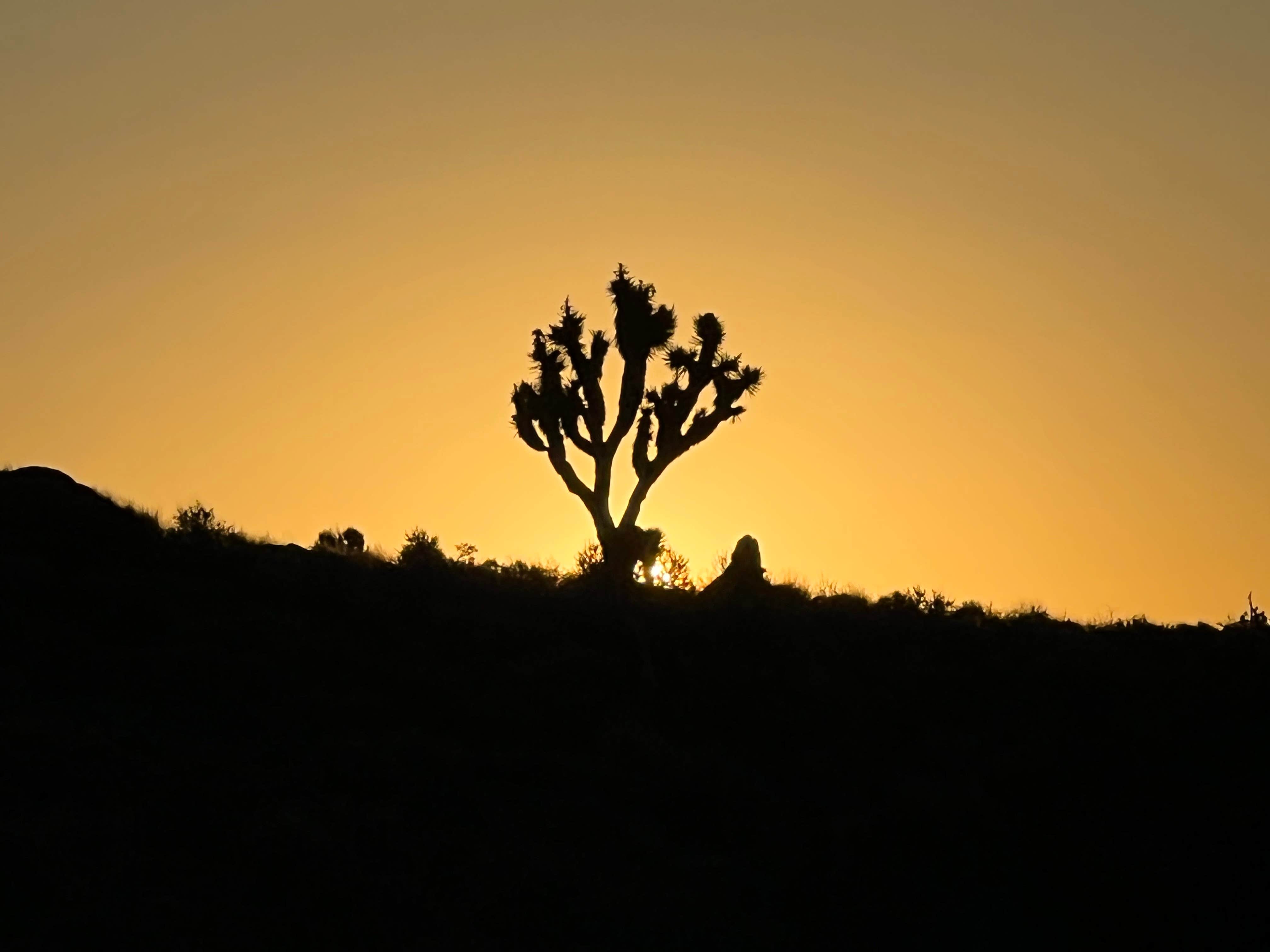 Camper-submitted photo at #375 off Extraterrestrial Highway near Humboldt-Toiyabe National Forest Headquarters