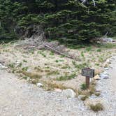 Review photo of Sunrise Camp Primitive — Mount Rainier National Park by Celina M., July 13, 2018