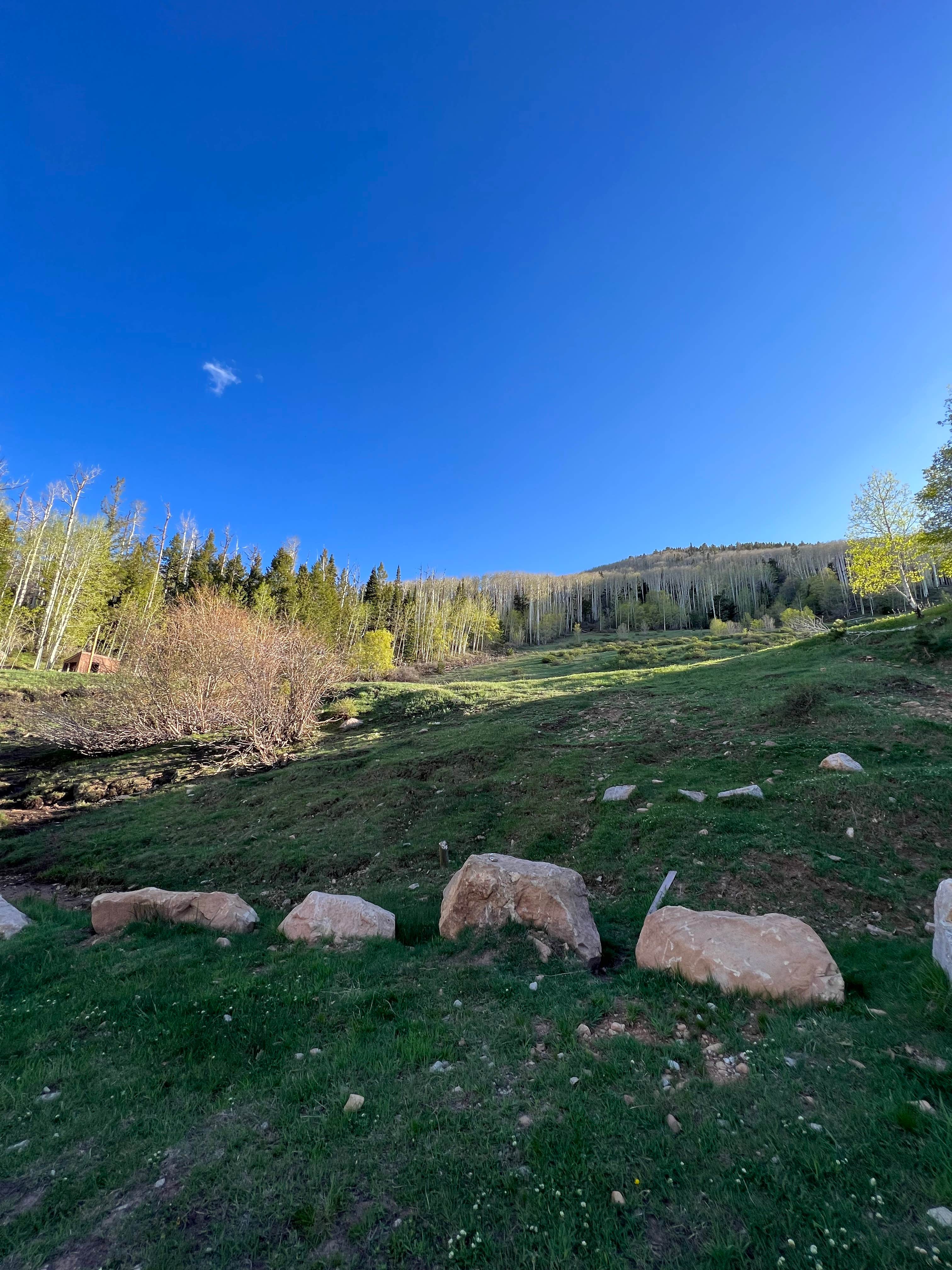 Camper-submitted photo at Cr 0083 near Monticello, UT