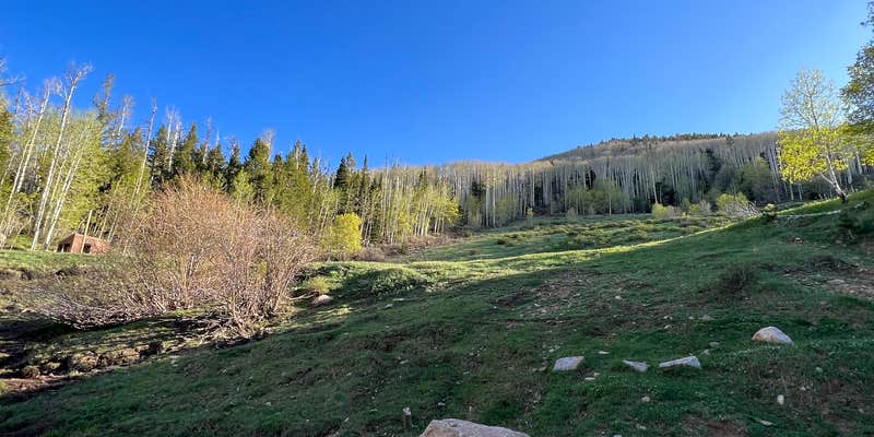 Camper submitted image from Cr 0083