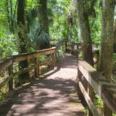 Review photo of Highlands Hammock State Park by Kelli S., May 18, 2022