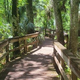 Review photo of Highlands Hammock State Park Campground by Kelli S., May 18, 2022