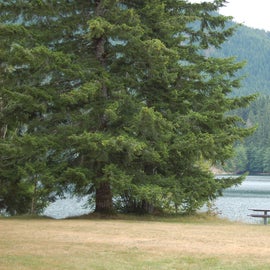 picnic area near wynochee lake