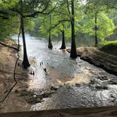 Review photo of Suwannee River State Park Campground by Linda B., May 17, 2022