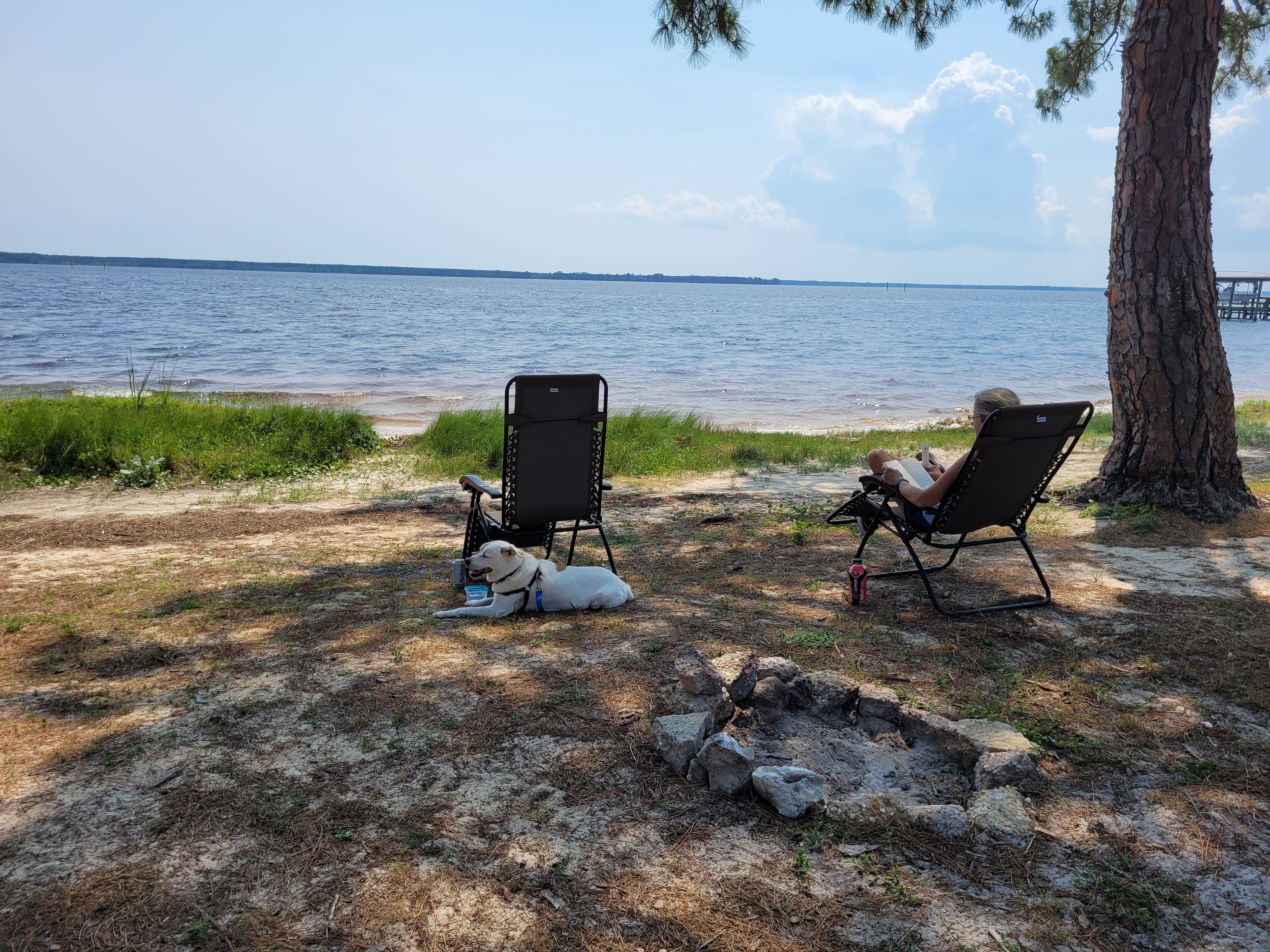 Camper submitted image from Holiday Campground on Ochlockonee Bay - 2