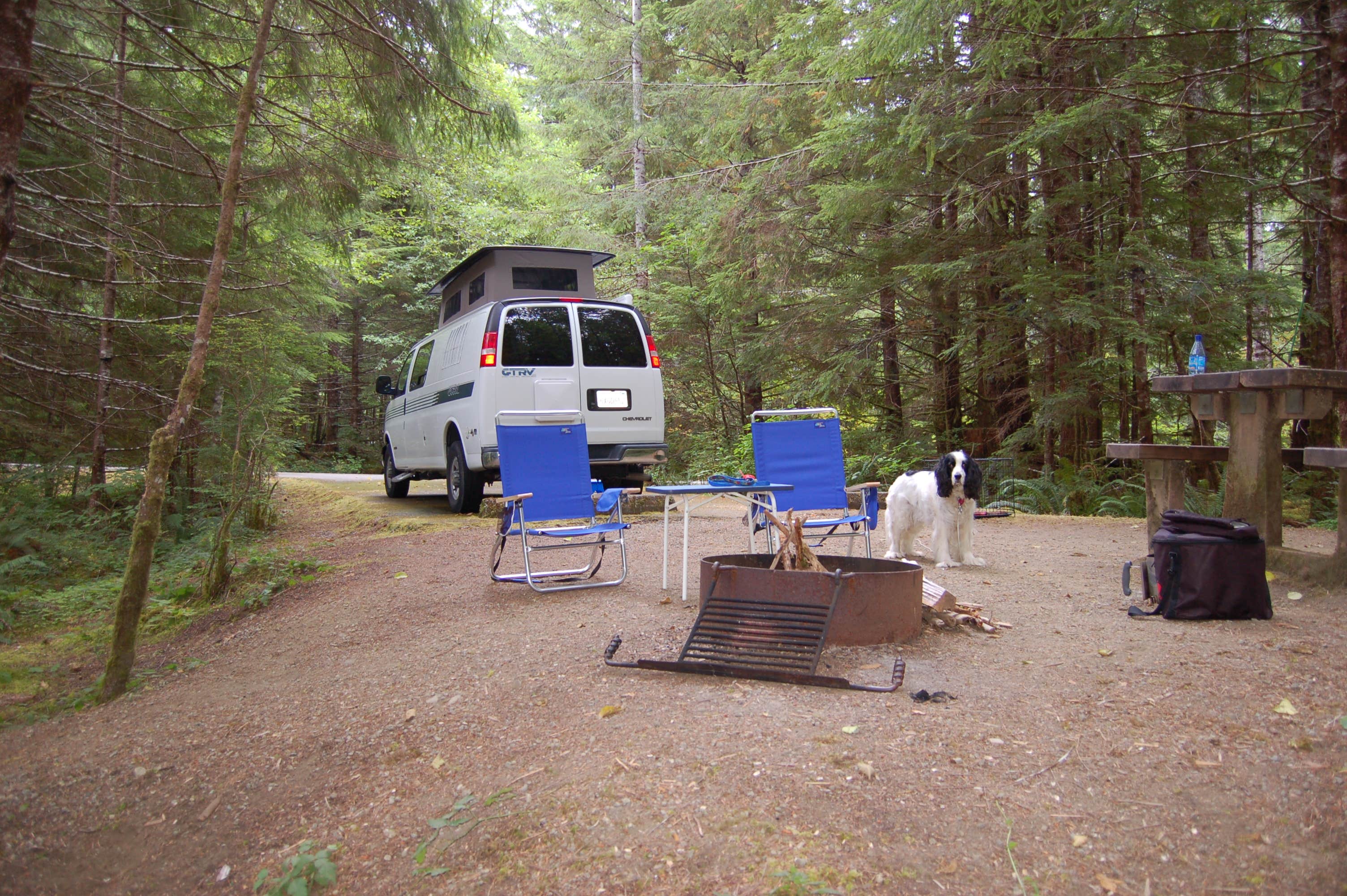 Norma Y.'s photo at Coho Campground near Olympic National Forest