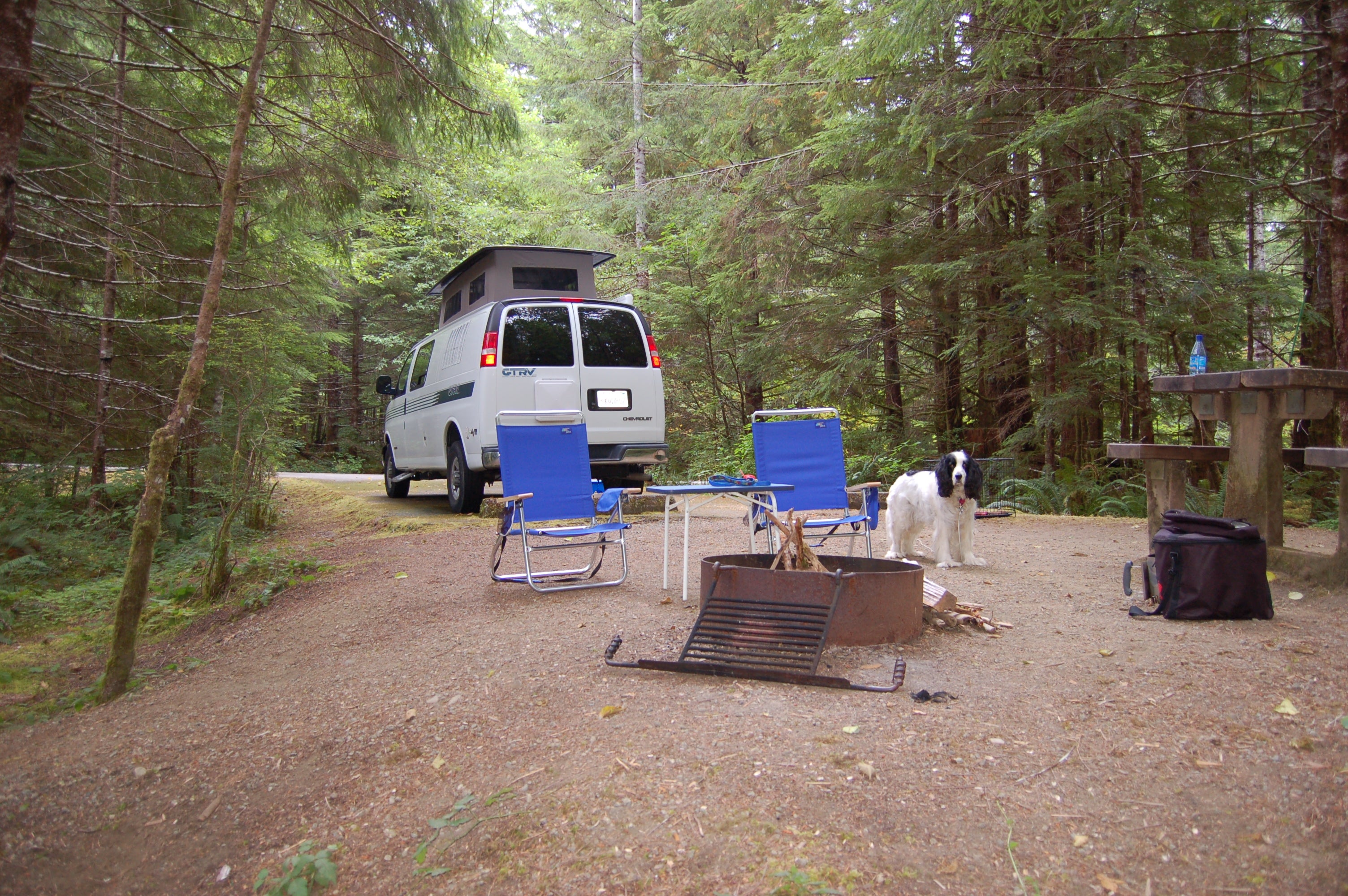 campsite at coho campground