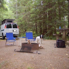 campsite at coho campground