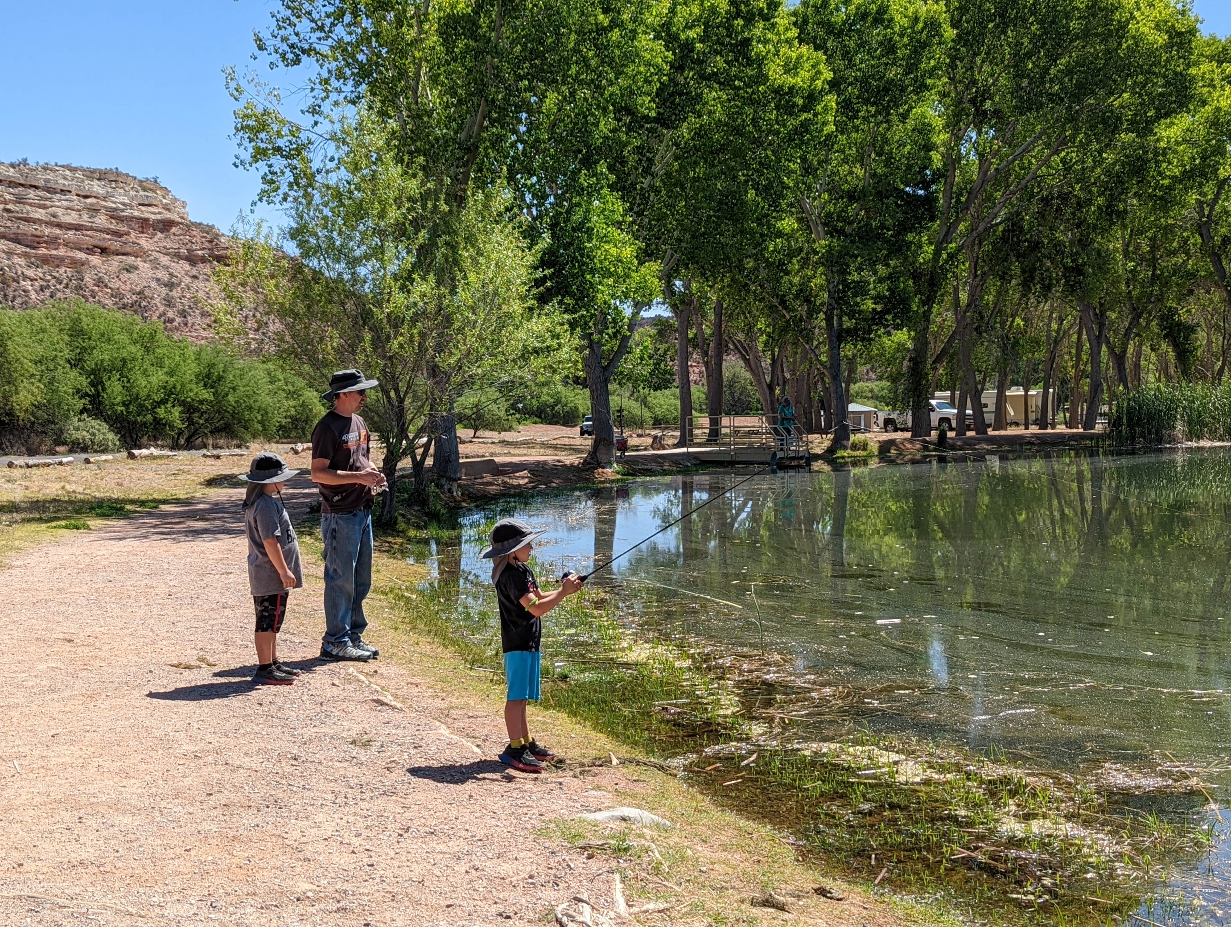 are dogs allowed in dead horse ranch state parks