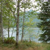 Review photo of Coho Campground by Norma Y., July 14, 2018