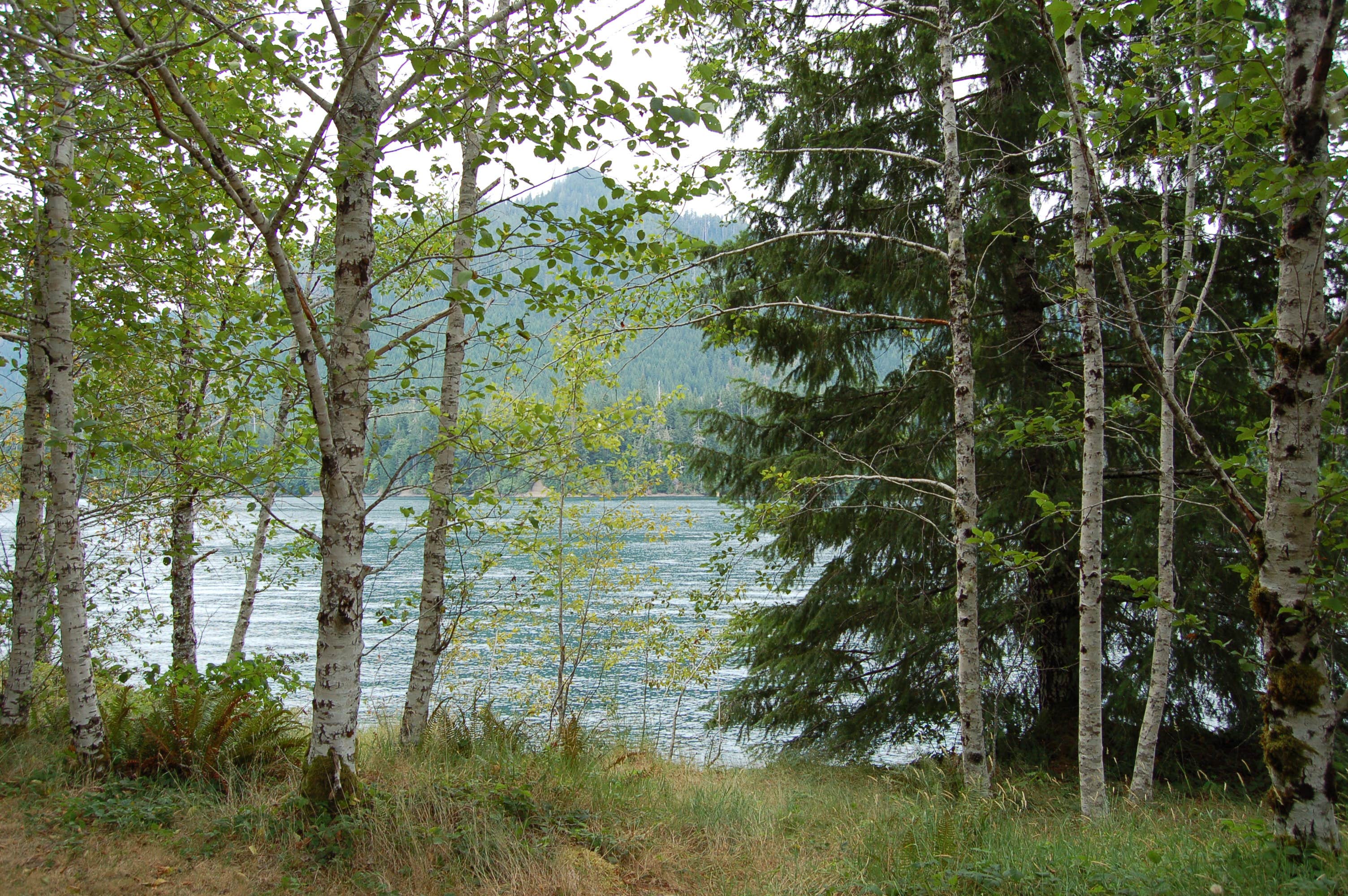 view of the lake from a trail