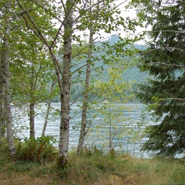 view of the lake from a trail