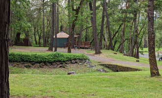 Camping near Tin Can: Whitehorse County Park, Wilderville, Oregon