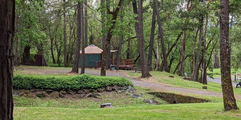 Camper submitted image from Whitehorse County Park