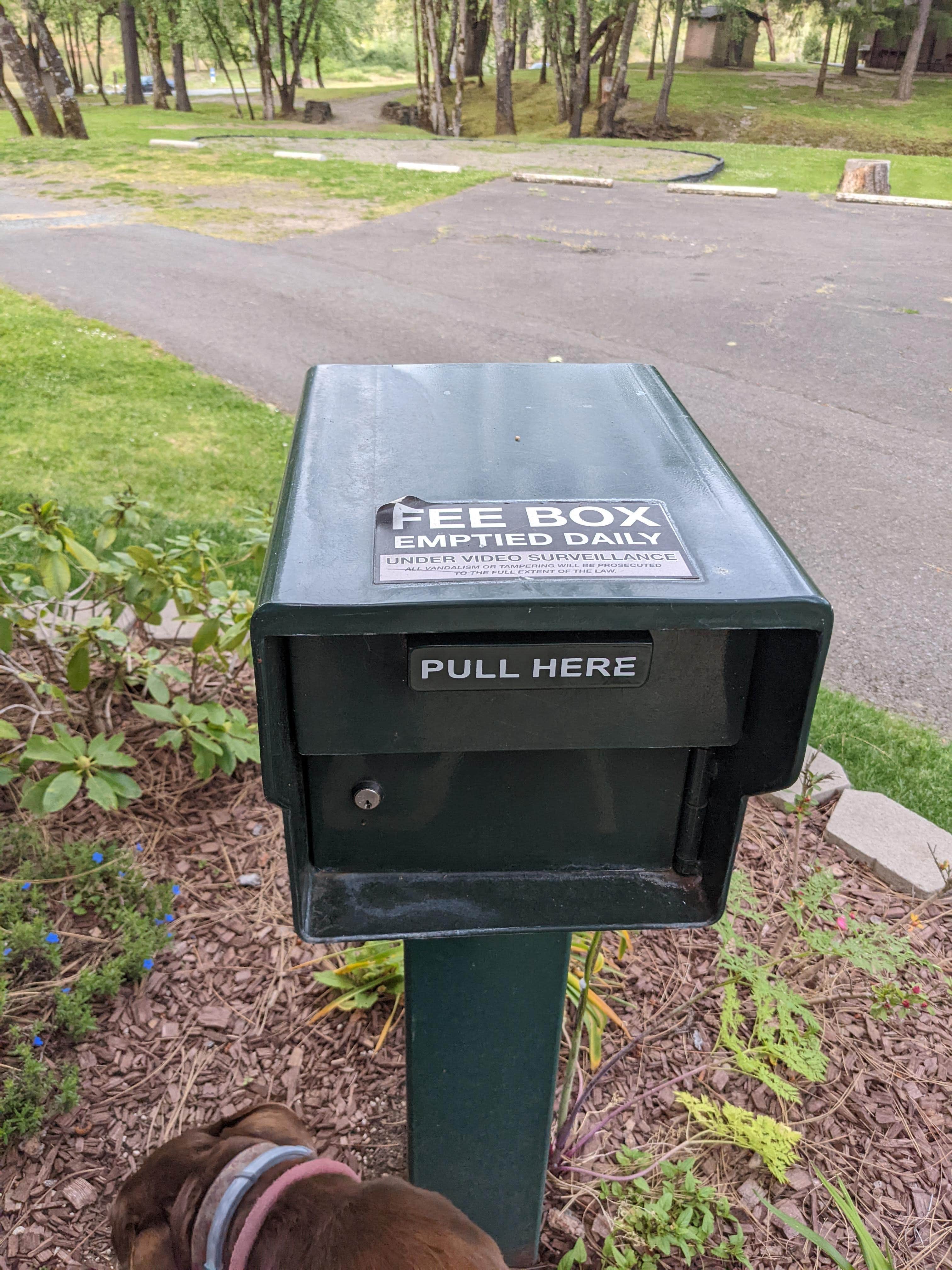Laura M.'s photo of camping with pets at Griffin Park near Grants Pass, OR