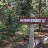 Review photo of Union Creek Trail USFS Dispersed by Laura M., May 18, 2022