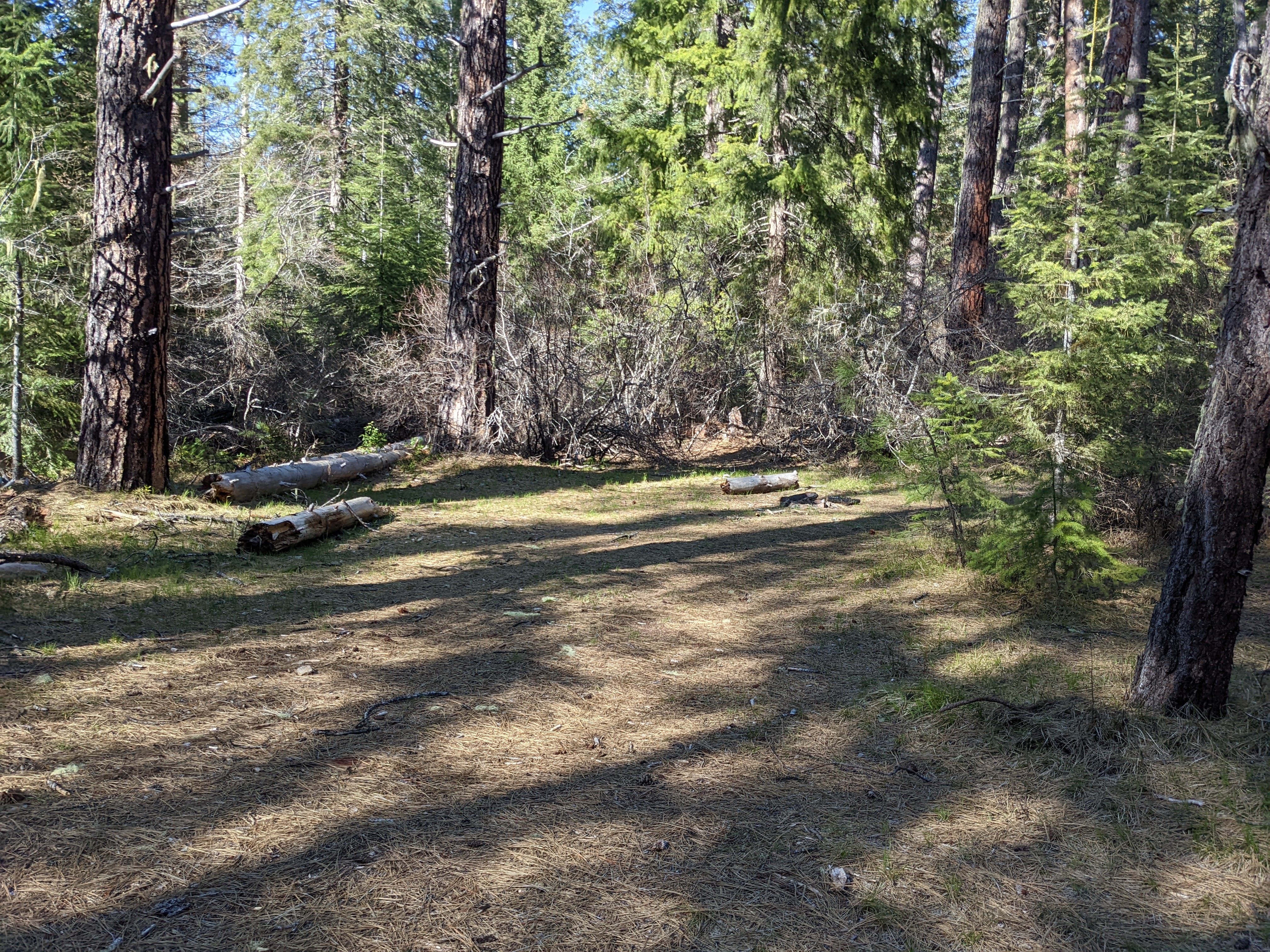 Camper submitted image from Union Creek Trail USFS Dispersed - 3