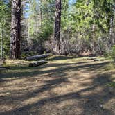 Review photo of Union Creek Trail USFS Dispersed by Laura M., May 18, 2022