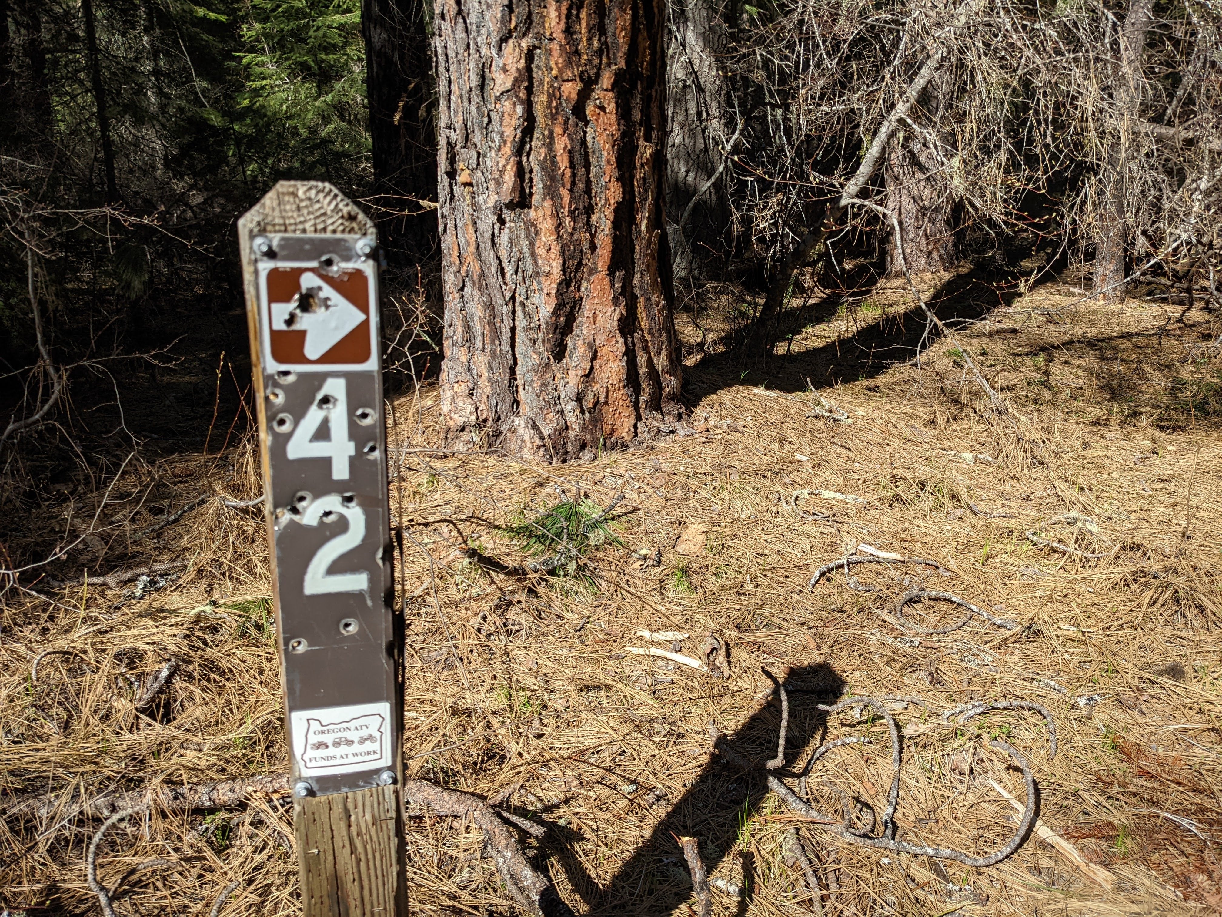 Camper submitted image from Union Creek Trail USFS Dispersed - 4