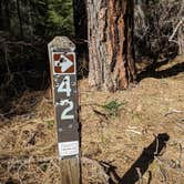 Review photo of Union Creek Trail USFS Dispersed by Laura M., May 18, 2022