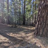 Review photo of Union Creek Trail USFS Dispersed by Laura M., May 18, 2022