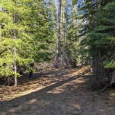 Review photo of Union Creek Trail USFS Dispersed by Laura M., May 18, 2022