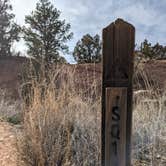 Review photo of SQ1 (Squaw Canyon) — Canyonlands National Park by Laura M., May 18, 2022