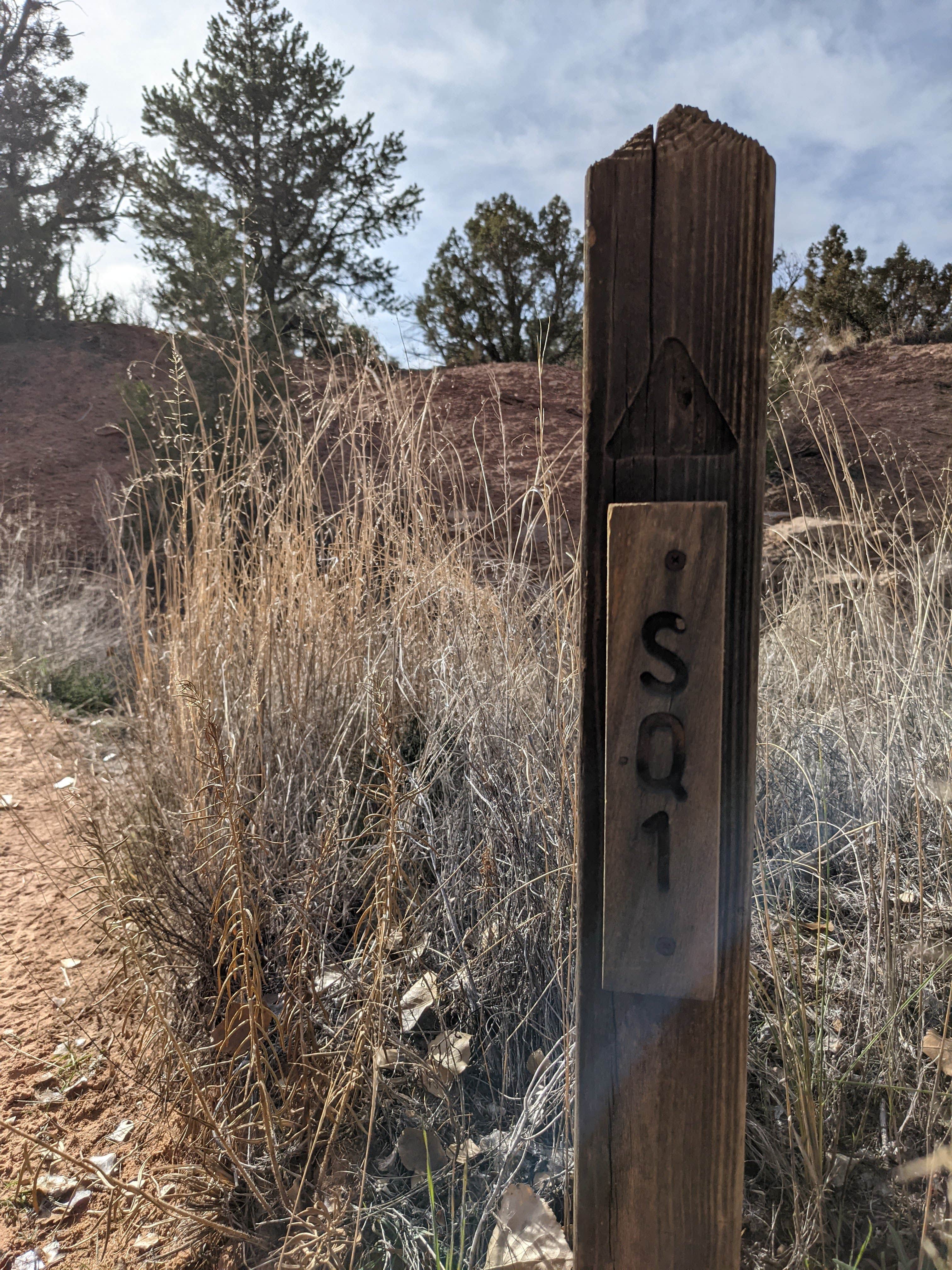 Camper submitted image from SQ1 (Squaw Canyon) — Canyonlands National Park - 2