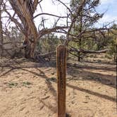 Review photo of SQ1 (Squaw Canyon) — Canyonlands National Park by Laura M., May 18, 2022