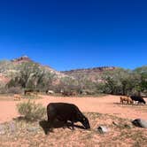 Review photo of Kolob Road BLM Dispersed #1 by Jack W., May 18, 2022