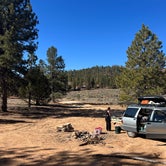 Review photo of Cabin Hollow FS #121 Dispersed Camping by Jack W., May 18, 2022