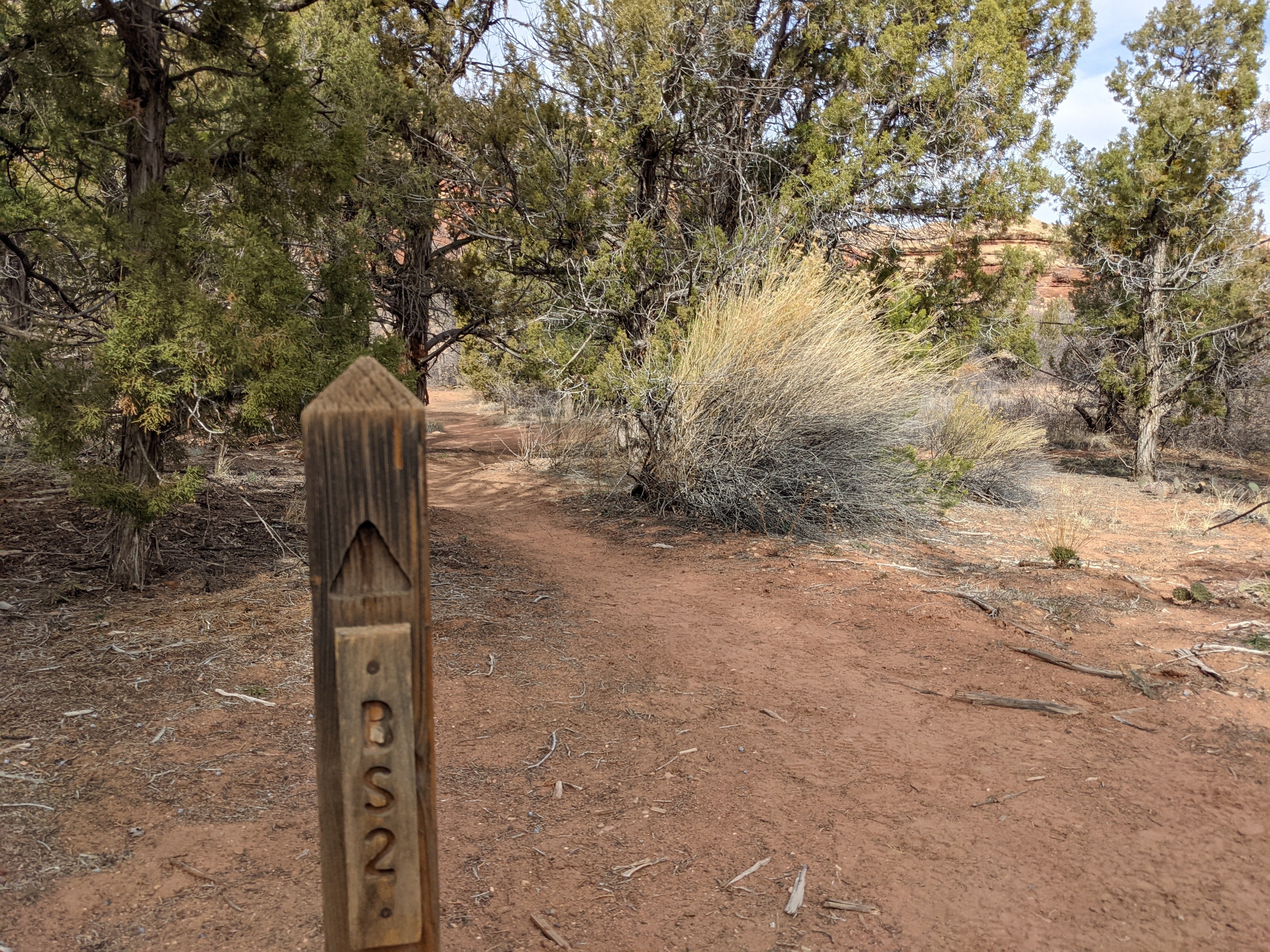 Camper submitted image from BS2 (Big Spring) — Canyonlands National Park - 3