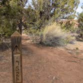 Review photo of BS2 (Big Spring) — Canyonlands National Park by Laura M., May 18, 2022