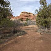 Review photo of BS2 (Big Spring) — Canyonlands National Park by Laura M., May 18, 2022