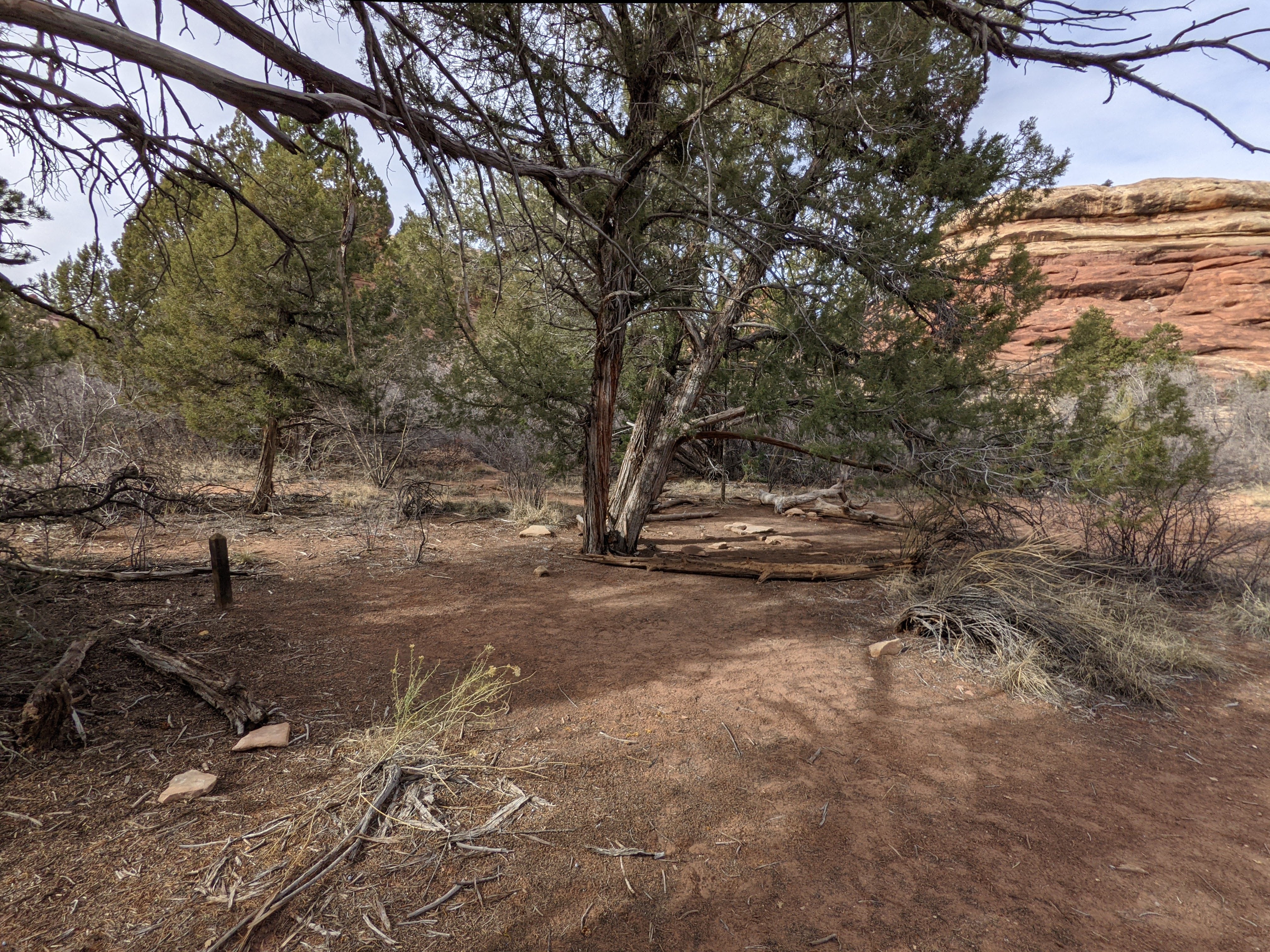 Camper submitted image from BS2 (Big Spring) — Canyonlands National Park - 1