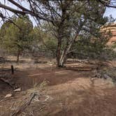 Review photo of BS2 (Big Spring) — Canyonlands National Park by Laura M., May 18, 2022