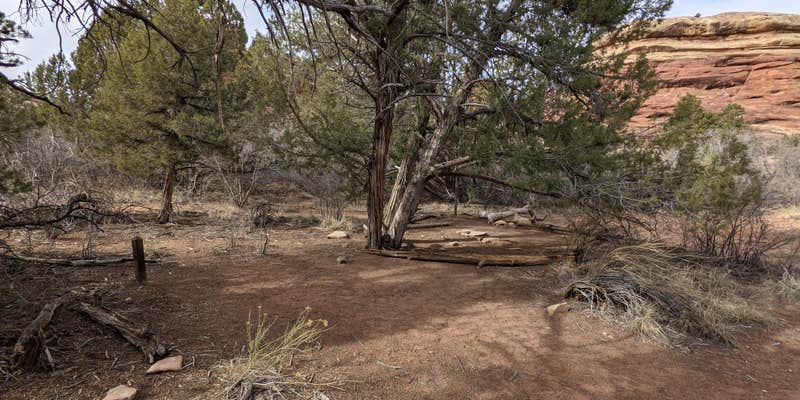 Camper submitted image from BS2 (Big Spring) — Canyonlands National Park