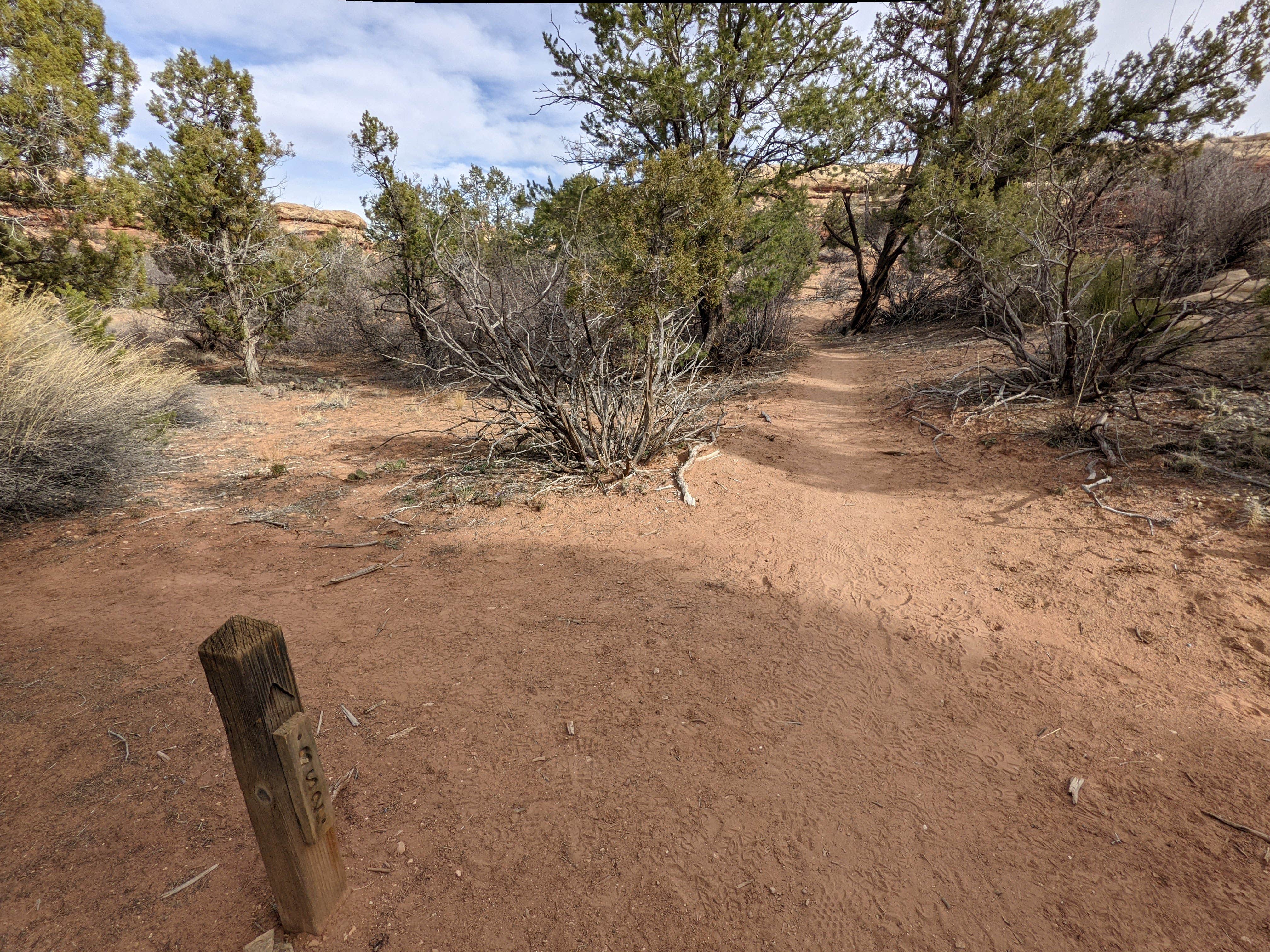 Camper-submitted photo at BS2 (Big Spring) — Canyonlands National Park near Monticello, UT