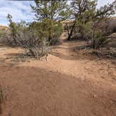 Review photo of BS2 (Big Spring) — Canyonlands National Park by Laura M., May 18, 2022