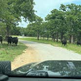 Review photo of LBJ National Grasslands Forest Road 904 Dispersed Camping by Corey C., May 19, 2022