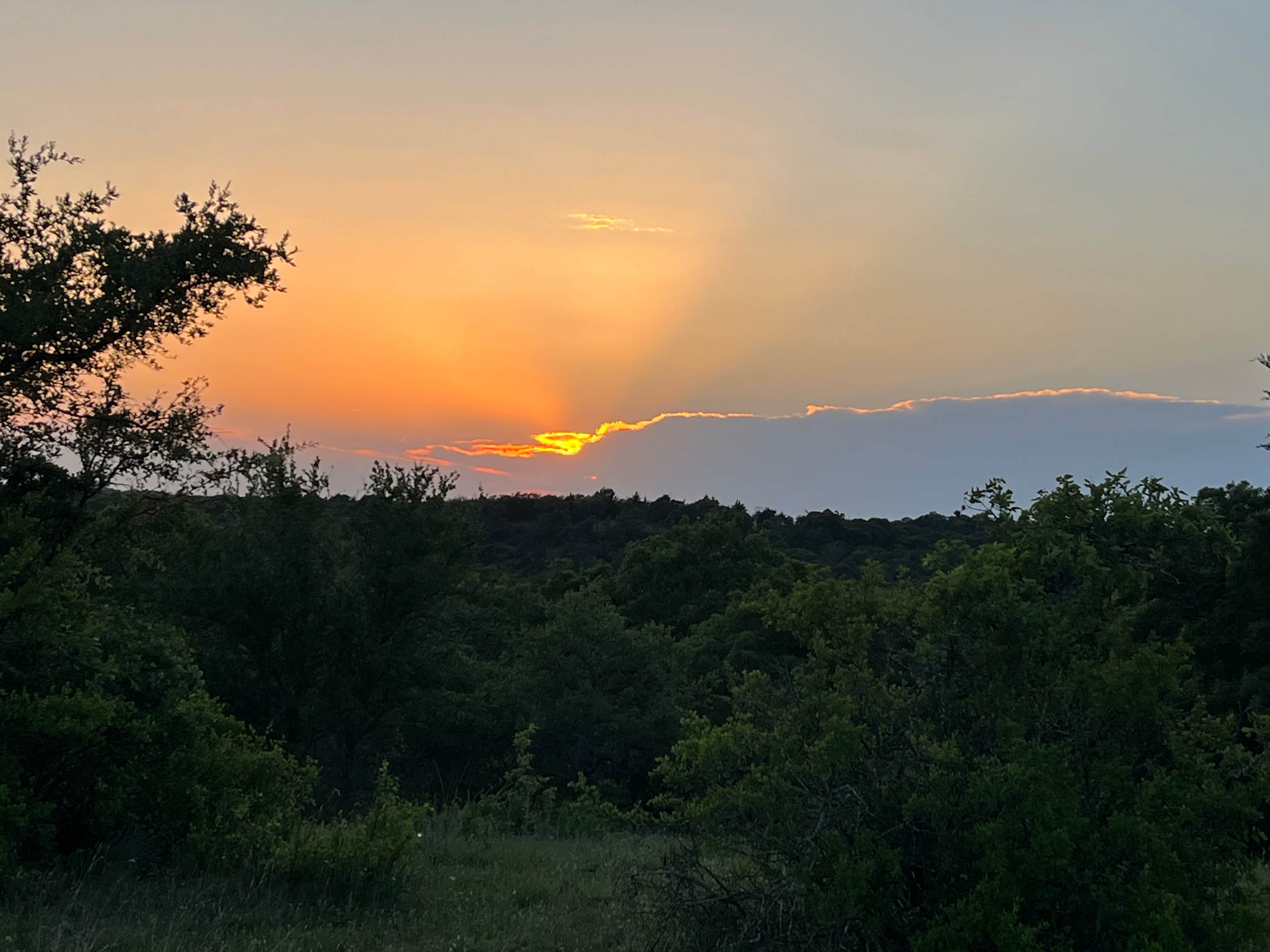 Camper-submitted photo at LBJ National Grasslands Forest Road 904 Dispersed Camping near The Colony, TX