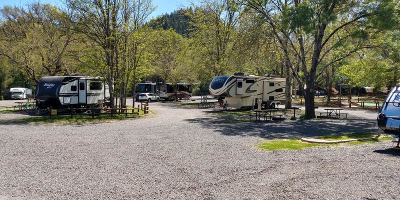 Camper submitted image from Mendocino Redwoods RV Resort
